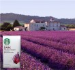 Starbucks French Roast Whole Bean Coffee, 40-Ounce, 2.5 lb